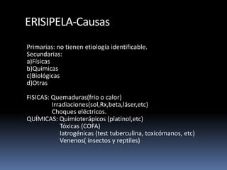 ERISIPELA-Causas
Primarias: no tienen etiología identificable.
Secundarias:
a)Físicas
b)Químicas
c)Biológicas
d)Otras
FISICAS: Quemaduras(frio o calor)
Irradiaciones(sol,Rx,beta,láser,etc)
Choques eléctricos.
QUÍMICAS: Quimioterápicos (platinol,etc)
Tóxicas (COFA)
Iatrogénicas (test tuberculina, toxicómanos, etc)
Venenos( insectos y reptiles)
 