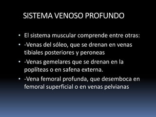 SISTEMA VENOSO PROFUNDO
• El sistema muscular comprende entre otras:
• -Venas del sóleo, que se drenan en venas
tibiales posteriores y peroneas
• -Venas gemelares que se drenan en la
poplíteas o en safena externa.
• -Vena femoral profunda, que desemboca en
femoral superficial o en venas pelvianas
 