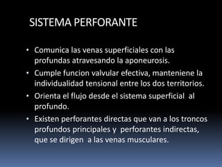 SISTEMA PERFORANTE
• Comunica las venas superficiales con las
profundas atravesando la aponeurosis.
• Cumple funcion valvular efectiva, manteniene la
individualidad tensional entre los dos territorios.
• Orienta el flujo desde el sistema superficial al
profundo.
• Existen perforantes directas que van a los troncos
profundos principales y perforantes indirectas,
que se dirigen a las venas musculares.
 
