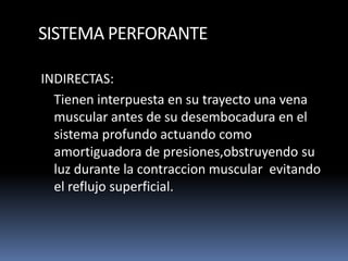 SISTEMA PERFORANTE
INDIRECTAS:
Tienen interpuesta en su trayecto una vena
muscular antes de su desembocadura en el
sistema profundo actuando como
amortiguadora de presiones,obstruyendo su
luz durante la contraccion muscular evitando
el reflujo superficial.
 
