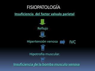 FISIOPATOLOGÍA
Insuficiencia del factor valvulo parietal
Reflujo
Hipertensión venosa
Hipotrofia muscular.
Insuficiencia de la bomba musculo venosa
IVC
 