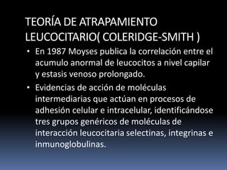 TEORÍA DE ATRAPAMIENTO
LEUCOCITARIO( COLERIDGE-SMITH )
• En 1987 Moyses publica la correlación entre el
acumulo anormal de leucocitos a nivel capilar
y estasis venoso prolongado.
• Evidencias de acción de moléculas
intermediarias que actúan en procesos de
adhesión celular e intracelular, identificándose
tres grupos genéricos de moléculas de
interacción leucocitaria selectinas, integrinas e
inmunoglobulinas.
 