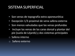 SISTEMA SUPERFICIAL
• Son venas de topografía extra-aponeurótica
• Excepción 1/3 proximal de vena safena externa
• Son menos valvuladas que las venas profundas
• Incluye las venas de las caras dorsal y plantar del
pie (suela de Léjards) y dos sistemas principales
o Safeno interno
o Safeno externo
 