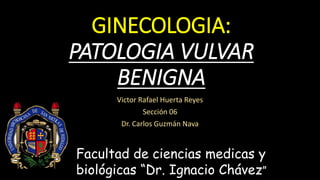 GINECOLOGIA:
PATOLOGIA VULVAR
BENIGNA
Victor Rafael Huerta Reyes
Sección 06
Dr. Carlos Guzmán Nava
Facultad de ciencias medicas y
biológicas “Dr. Ignacio Chávez”
 