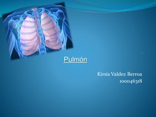 Pulmón
Kirsis Valdez Berroa
100046318
 