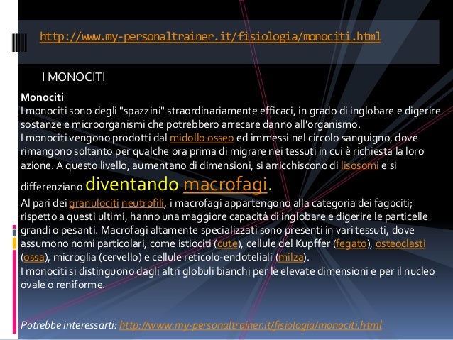 Amiloidosi Patologie Poliendocrine Laini Flavia Vittoria