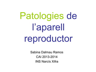 Patologies de
l’aparell
reproductor
Sabina Dalmau Ramos
CAI 2013-2014
INS Narcís Xifra
 