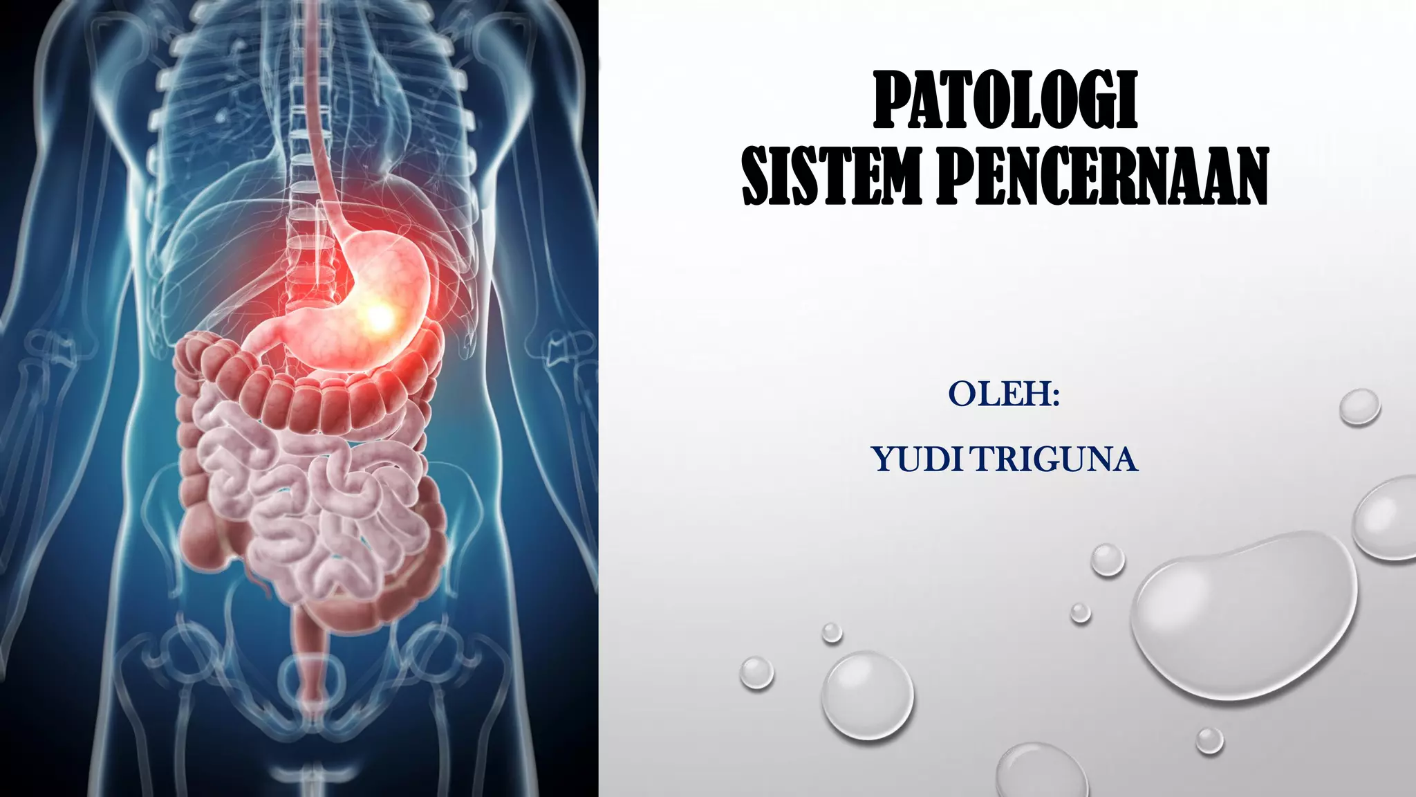 Nemis fermasida porno videolarni tomosha qilish