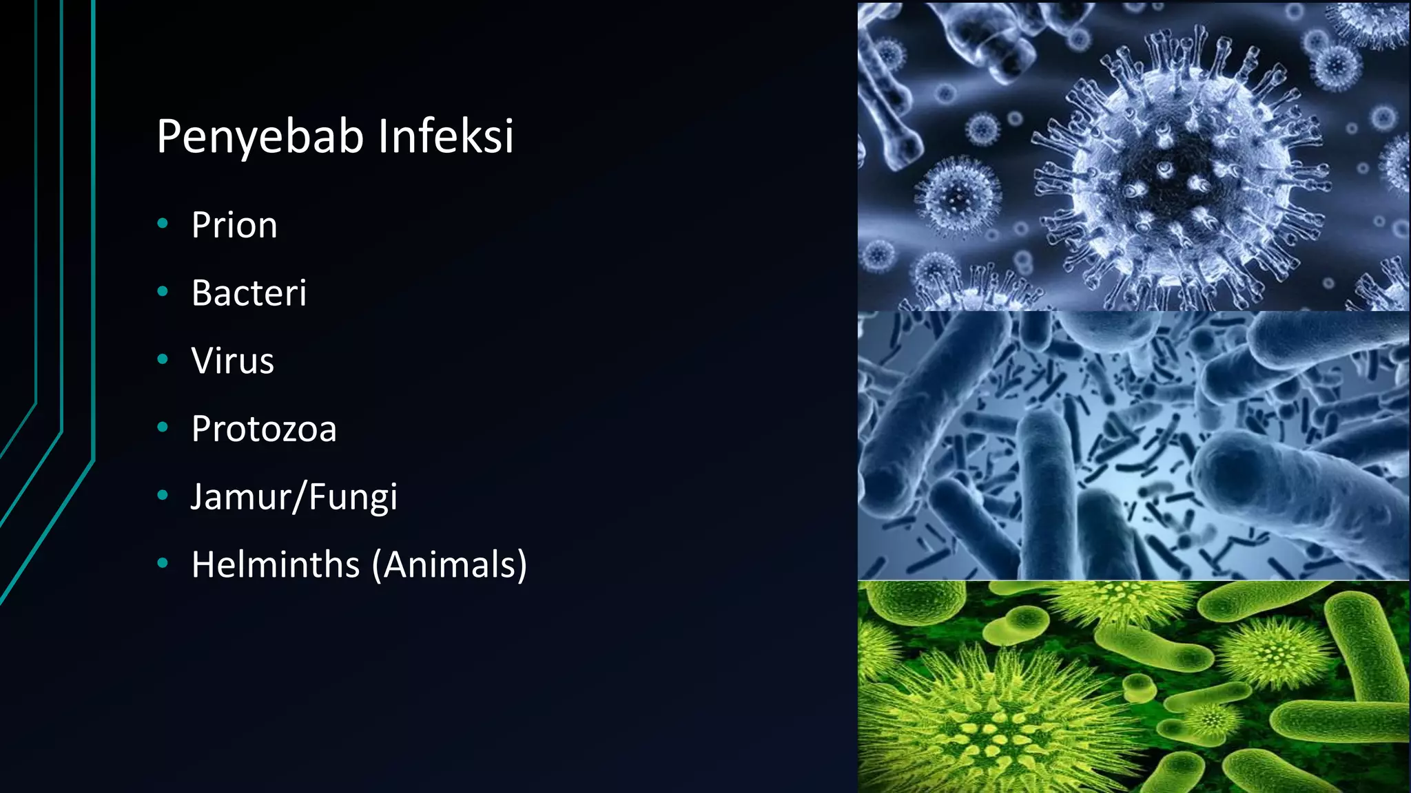 Patologi Infeksi.pdf