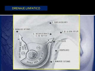 DRENAJE LINFATICO
 