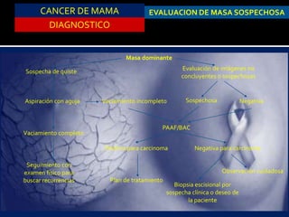 CANCER DE MAMA
DIAGNOSTICO
EVALUACION DE MASA SOSPECHOSA
Masa dominante
Sospecha de quiste Evaluación de imágenes no
concluyentes o sospechosas
Seguimiento con
examen físico para
buscar recurrencias
Vaciamiento completo
Aspiración con aguja Vaciamiento incompleto Sospechosa Negativa
PAAF/BAC
Positiva para carcinoma
Plan de tratamiento
Negativa para carcinoma
Biopsia escisional por
sospecha clínica o deseo de
la paciente
Observación cuidadosa
 