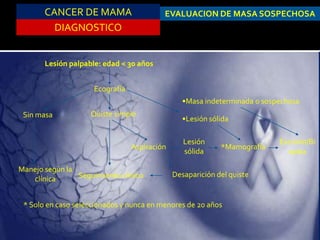 CANCER DE MAMA
DIAGNOSTICO
Lesión palpable: edad < 30 años
Ecografía
Sin masa Quiste simple
Manejo según la
clínica Seguimiento clínico
Aspiración
Lesión
sólida
*Mamografía
Excisión/Bi
opsia
•Masa indeterminada o sospechosa
•Lesión sólida
Desaparición del quiste
* Solo en caso seleccionados y nunca en menores de 20 años
EVALUACION DE MASA SOSPECHOSA
 