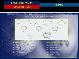 CANCER DE MAMA
DIAGNOSTICO
BIRADS
ESTE SISTEMA DESCRIBE DENSIDAD DEL PARENQUIMA MAMARIO, FORMAY BORDE DE LA
MASAY CATEGORIZA LAS CALCIFICACIONES
MASA SEGÚN SU FORMA:
A. REDONDA
B. OVAL
C. LOBULADA
D. IRREGULAR
MASA SEGÚN SUS MARGENES:
E. DELIMITADO
F. IMPRECISO
G. MICROLOBULADA
H. ESFUMADO
I. ESPECULADO
Mamografía & ultrasonido en patología de mama, dr. Francisco montoya, instituto de cancerologia colima
 