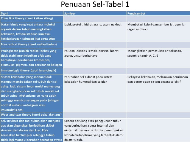 Patologi Penuaan Sel Patologi Penuaan Sel