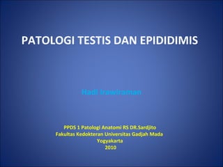 PATOLOGI TESTIS DAN EPIDIDIMIS Hadi Irawiraman PPDS 1 Patologi Anatomi RS DR.Sardjito  Fakultas Kedokteran Universitas Gadjah Mada  Yogyakarta  2010 