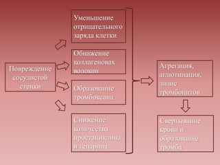 Повреждение
сосудистой
стенки
Уменьшение
отрицательного
заряда клетки
Обнажение
коллагеновах
волокон
Образование
тромбоксана
Снижение
количества
простациклина
и гепарина
Агрегация,
аглютинация,
лизис
тромбоцитов
Свертывание
крови и
образование
тромба
 