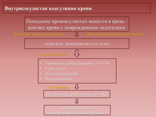Внутрисосудистая коагуляция крови
Попадание прокоагулянтых веществ в кровь /
контакт крови с поврежденным эндотелием
Агрегауия тромбоцитов и их лизис
• Тромбоцитарные факторы Т3 и Т4
• Серотонин
• Аденозинофосфат
• Катехоламины
Плазменный фактор контакта XII
Генерализованная
внутрисосудистая коагуляция
Внешним механизм активации Внутренний механизм активации
В кровь выходят
Активация
 