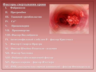 Факторы свертывания крови
I. Фибриноген
II. Протромбин
III. Тканевой тромбопластин
IV. Са2+
V. Проакцеверин
VII. Проконвертин
VIII. Фактор Виллибранда
IX. Антигемофильный глобулин В – фактор Кристмаса
X. Фактор Стюарта-Прауэра
XI. Фактор Шмейна-Розенталя - плазмин
XII. Фактор Хагемана
XIII. Фибринстабилизирующий фактор
XIV. Прекаллекреин – фактор Флетчера
XV. ВМК (высокомолекулярный кининоген) – фактор Фитцжеральда
 