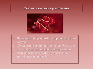 Стадии остановки кровотечения
1. Временный (первичный и вторичный) спазм
сосудов
2. Образование тромбоцитарной пробки за счет
адгезии и агрегации кровяных пластинок
3. Ретракция (сокращение и уплотнение)
тромбоцитарной пробки
 