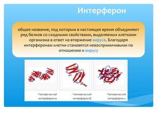 Интерферон
общее название, под которым в настоящее время объединяют
ряд белков со сходными свойствами, выделяемых клетками
организма в ответ на вторжение вируса. Благодаря
интерферонам клетки становятся невосприимчивыми по
отношению к вирусу
 