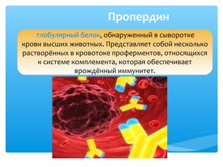 Пропердин
глобулярный белок, обнаруженный в сыворотке
крови высших животных. Представляет собой несколько
растворённых в кровотоке проферментов, относящихся
к системе комплемента, которая обеспечивает
врождённый иммунитет.
 