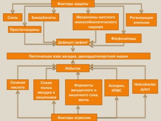 Пептическая язва желудка, двенадцатиперстной кишки
Факторы защиты
Факторы агрессии
Слизь Бикарбонаты
Простагландины
Механизмы местного
иммунобиологического
надзора
Регенерация
эпителия
Фосфолипиды
Дефицит/дефект
Избыток
Соляная
кислота
Спазм
мышц
желудка и
кишечника
Ферменты
желудочного и
кишечного сока,
желчь
Аспирин,
НПВС
Helicobacter
pylori
 