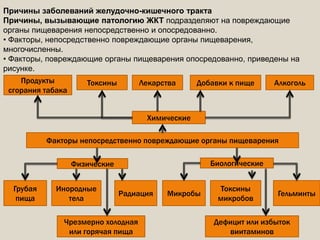 Причины заболеваний желудочно-кишечного тракта
Причины, вызывающие патологию ЖКТ подразделяют на повреждающие
органы пищеварения непосредственно и опосредованно.
• Факторы, непосредственно повреждающие органы пищеварения,
многочисленны.
• Факторы, повреждающие органы пищеварения опосредованно, приведены на
рисунке.
Факторы непосредственно повреждающие органы пищеварения
Химические
Физические Биологические
Продукты
сгорания табака
Токсины Лекарства Добавки к пище Алкоголь
Грубая
пища
Инородные
тела
Радиация
Чрезмерно холодная
или горячая пища
Микробы
Токсины
микробов
Гельминты
Дефицит или избыток
виитаминов
 