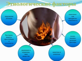 нарушение
питания
психо-
эмоцио-
нальные
факторы
бактерии,
вирусы,
простейшие
и
гельминты
радиация и
отравляю-
щие
вещества
никотин и
алкоголь
генетичес-
кая
предраспо-
ложенность
 