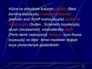 27
Hücre ve dokularda bulunan glikojen (Best
karmine boyasıyla), mukopolisakkaritler
(periodic acid Schiff reaksiyonuyla) lipidler ve
nötral yağlar (Sudan , Scharlach boyalarıyla),
musin (musikarmin), minerallerden demir
(Perls demir reaksiyonu) kalsiyum (von Kossa
boyasıyla) ve diğer temel maddeler değişik
boya yöntemleriyle gösterilebilir.
 