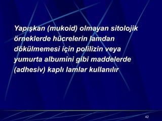 42
Yapışkan (mukoid) olmayan sitolojik
örneklerde hücrelerin lamdan
dökülmemesi için polilizin veya
yumurta albumini gibi maddelerde
(adhesiv) kaplı lamlar kullanılır
 