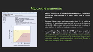Hipoxia e isquemia
1. A escala global, el FSC se puede reducir hasta en un 50 % durante las
primeras 48 horas después de la lesión, dando lugar a cambios
isquémicos.
2. Cuando el flujo se reduce profundamente (es decir, <5 a 10 mL/100 g/
min) dentro de la distribución de una arteria terminal cerebral durante
más de 60 a 90 minutos, sobreviene infarto (necrosis inmediata de
todos los tipos de células dentro de una zona del cerebro).
3. La reducción del flujo de 15 a 18 mL/100 g/min para un período
superior a 30 minutos, acontece la perdida neuronal selectiva
(especialmente en las neuronas del hipocampo (en la capa molecular
y cornu ammonis 1 y cornu ammonis 3), cerebelar células granulares
y neuronas corticales (particularmente las células más grandes en
áreas como la corteza visual cuneiforme)
 
