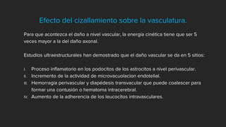 Efecto del cizallamiento sobre la vasculatura.
Para que acontezca el daño a nivel vascular, la energía cinética tiene que ser 5
veces mayor a la del daño axonal.
Estudios ultraestructurales han demostrado que el daño vascular se da en 5 sitios:
I. Proceso inflamatorio en los podocitos de los astrocitos a nivel perivascular.
II. Incremento de la actividad de microvacuolacion endotelial.
III. Hemorragia perivascular y diapédesis transvacular que puede coalescer para
formar una contusión o hematoma intracerebral.
IV. Aumento de la adherencia de los leucocitos intravasculares.
 