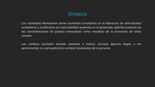 Sinapsis
1. Los resultados demuestran breve aumentos transitorios en la liberación de aminoácidos
excitadores y acetilcolina así como también aumento en el glutamato; además aumento de
las concentraciones de potasio extracelular como resultado de la activación de estos
canales.
2. Los cambios persisten durante semanas o meses, inclusos algunos llegan a ser
permanentes; lo cual explica los cambios funcionales de la persona.
 