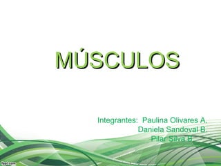 MÚSCULOS

  Integrantes: Paulina Olivares A.
              Daniela Sandoval B.
                 Pilar Silva B.
 