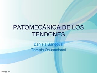 PATOMECÁNICA DE LOS
     TENDONES
     Daniela Sandoval
    Terapia Ocupacional
 