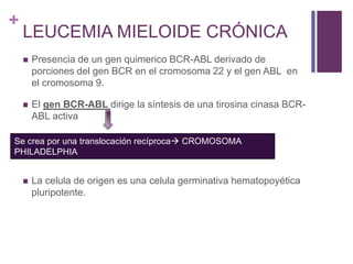 Diagnóstico hematológico e molecular das neoplasias mieloproliferativas  crônicas BCR-ABL negativas - Revista RBAC