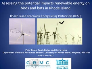 Assessing the potential impacts renewable energy on birds and bats in Rhode Island Rhode Island Renewable Energy Siting Partnership (RESP) Rick Loomis / Los Angeles Times Peter Paton, Sarah Butler, and Corrie Heinz Department of Natural Resources Science, University of Rhode Island, Kingston, RI 02881 6 October 2011 