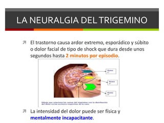 LA NEURALGIA DEL TRIGEMINO
 El trastorno causa ardor extremo, esporádico y súbito

o dolor facial de tipo de shock que dura desde unos
segundos hasta 2 minutos por episodio.

 La intensidad del dolor puede ser física y

mentalmente incapacitante.

 