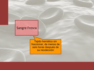 Sangre Fresca Tejido hemático sin fraccionar, de menos de seis horas después de su recolección 