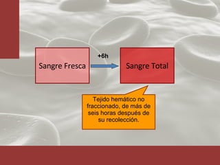 Sangre Fresca Tejido hemático no fraccionado, de más de seis horas después de su recolección. Sangre Total +6h 