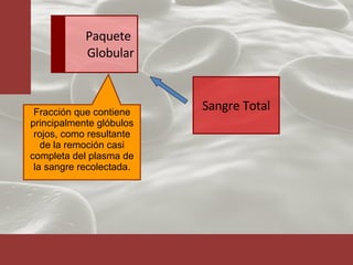 Fracción que contiene principalmente glóbulos rojos, como resultante de la remoción casi completa del plasma de la sangre recolectada. Sangre Total Paquete  Globular 