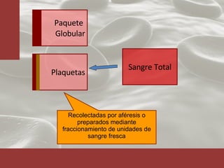Recolectadas por aféresis o preparados mediante fraccionamiento de unidades de sangre fresca Sangre Total Plaquetas Paquete  Globular 