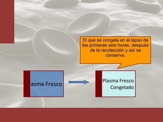 El que se congela en el lapso de las primeras seis horas, después de la recolección y así se conserva. Plasma Fresco Congelado Plasma Fresco 