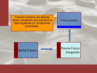 Fracción proteica del plasma fresco congelado que precipita al descongelarse en condiciones controladas. Plasma Fresco Plasma Fresco Congelado Crioprecipitado 