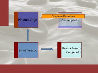 Plasma Fresco Plasma Fresco Congelado Crioprecipitado Plasma Viejo Contiene Proteínas 