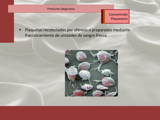 Plaquetas recolectadas por aféresis o preparados mediante fraccionamiento de unidades de sangre fresca. Productos Sanguíneos Concentrado Plaquetario 