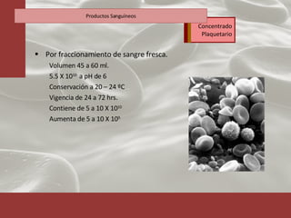 Por fraccionamiento de sangre fresca. Volumen 45 a 60 ml. 5.5 X 10 10  a pH de 6 Conservación a 20 – 24 ºC Vigencia de 24 a 72 hrs. Contiene de 5 a 10 X 10 10 Aumenta de 5 a 10 X 10 9 Productos Sanguíneos Concentrado Plaquetario 