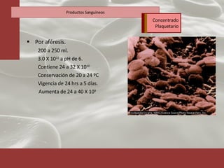 Por aféresis. 200 a 250 ml. 3.0 X 10 11  a pH de 6. Contiene 24 a 32 X 10 10 Conservación de 20 a 24 ºC Vigencia de 24 hrs a 5 días. Aumenta de 24 a 40 X 10 9 Productos Sanguíneos Concentrado Plaquetario 