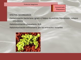 EFECTOS SECUNDARIOS Contaminación bacteriana: (gram +) fiebre, escalofríos, hipotensión, colapso circulatorio Haloinmunización plaquetaria: HLA Haloinmunización eritrocitaria: por los eritrocitos restantes Productos Sanguíneos Concentrado Plaquetario 