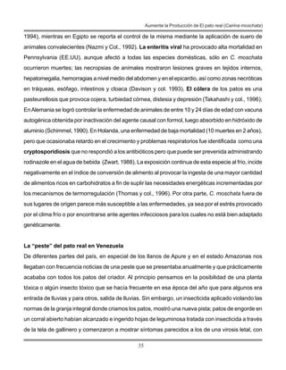 35
Aumente la Producción de El pato real (Cairina moschata)
1994), mientras en Egipto se reporta el control de la misma mediante la aplicación de suero de
animales convalecientes (Nazmi y Col., 1992). La enteritis viral ha provocado alta mortalidad en
Pennsylvania (EE.UU), aunque afectó a todas las especies domésticas, sólo en C. moschata
ocurrieron muertes; las necropsias de animales mostraron lesiones graves en tejidos internos,
hepatomegalia, hemorragias a nivel medio del abdomen y en el epicardio, así como zonas necróticas
en tráqueas, esófago, intestinos y cloaca (Davison y col. 1993). El cólera de los patos es una
pasteurellosis que provoca cojera, turbiedad córnea, distesia y depresión (Takahashi y col., 1996);
EnAlemania se logró controlar la enfermedad de animales de entre 10 y 24 días de edad con vacuna
autogénica obtenida por inactivación del agente causal con formol, luego absorbido en hidróxido de
aluminio (Schimmel, 1990). En Holanda, una enfermedad de baja mortalidad (10 muertes en 2 años),
pero que ocasionaba retardo en el crecimiento y problemas respiratorios fue identificada como una
cryptosporidiosis que no respondió a los antibióticos pero que puede ser prevenida administrando
rodinazole en el agua de bebida (Zwart, 1988). La exposición continua de esta especie al frío, incide
negativamente en el índice de conversión de alimento al provocar la ingesta de una mayor cantidad
de alimentos ricos en carbohidratos a fin de suplir las necesidades energéticas incrementadas por
los mecanismos de termorregulación (Thomas y col., 1996). Por otra parte, C. moschata fuera de
sus lugares de origen parece más susceptible a las enfermedades, ya sea por el estrés provocado
por el clima frío o por encontrarse ante agentes infecciosos para los cuales no está bien adaptado
genéticamente.
La “peste” del pato real en Venezuela
De diferentes partes del país, en especial de los llanos de Apure y en el estado Amazonas nos
llegaban con frecuencia noticias de una peste que se presentaba anualmente y que prácticamente
acababa con todos los patos del criador. Al principio pensamos en la posibilidad de una planta
tóxica o algún insecto tóxico que se hacía frecuente en esa época del año que para algunos era
entrada de lluvias y para otros, salida de lluvias. Sin embargo, un insecticida aplicado violando las
normas de la granja integral donde criamos los patos, mostró una nueva pista; patos de engorde en
un corral abierto habían alcanzado e ingerido hojas de leguminosa tratada con insecticida a través
de la tela de gallinero y comenzaron a mostrar síntomas parecidos a los de una virosis letal, con
 